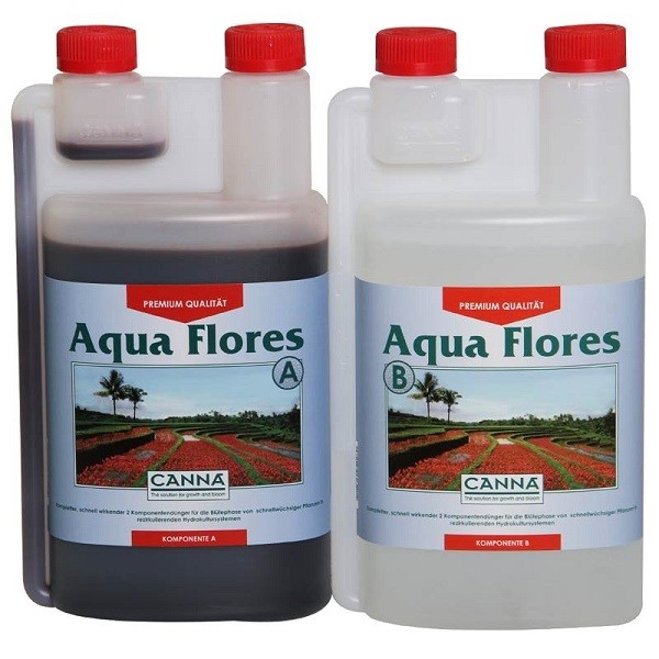 aqua-flores