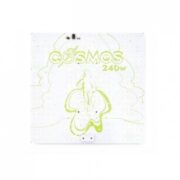 CSMS 240