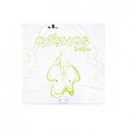 CSMS 240
